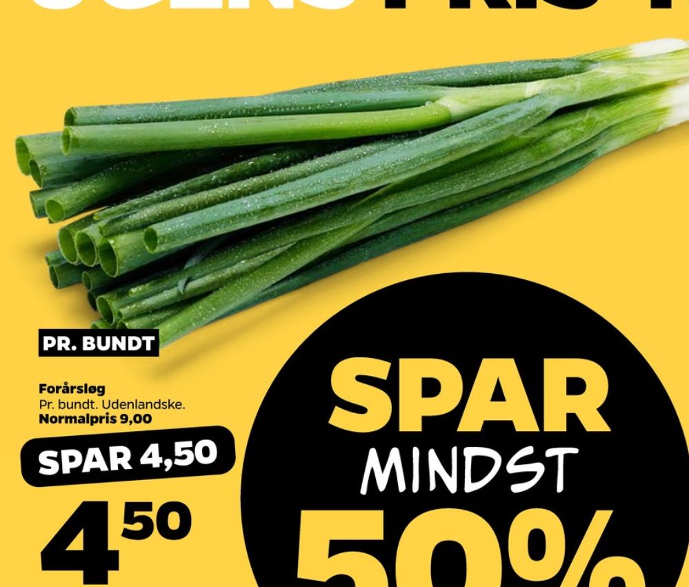 Forårsløg