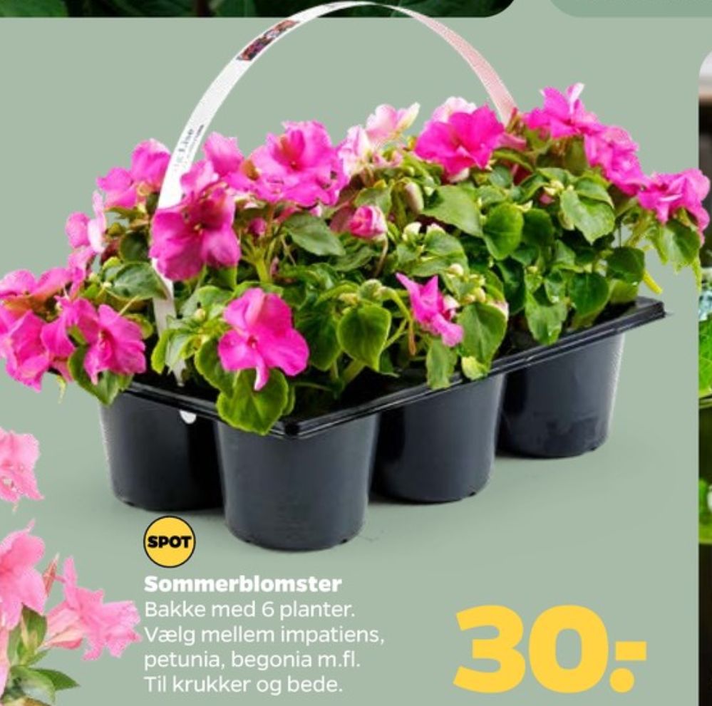 Planter
