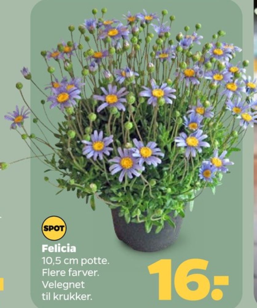 Planter