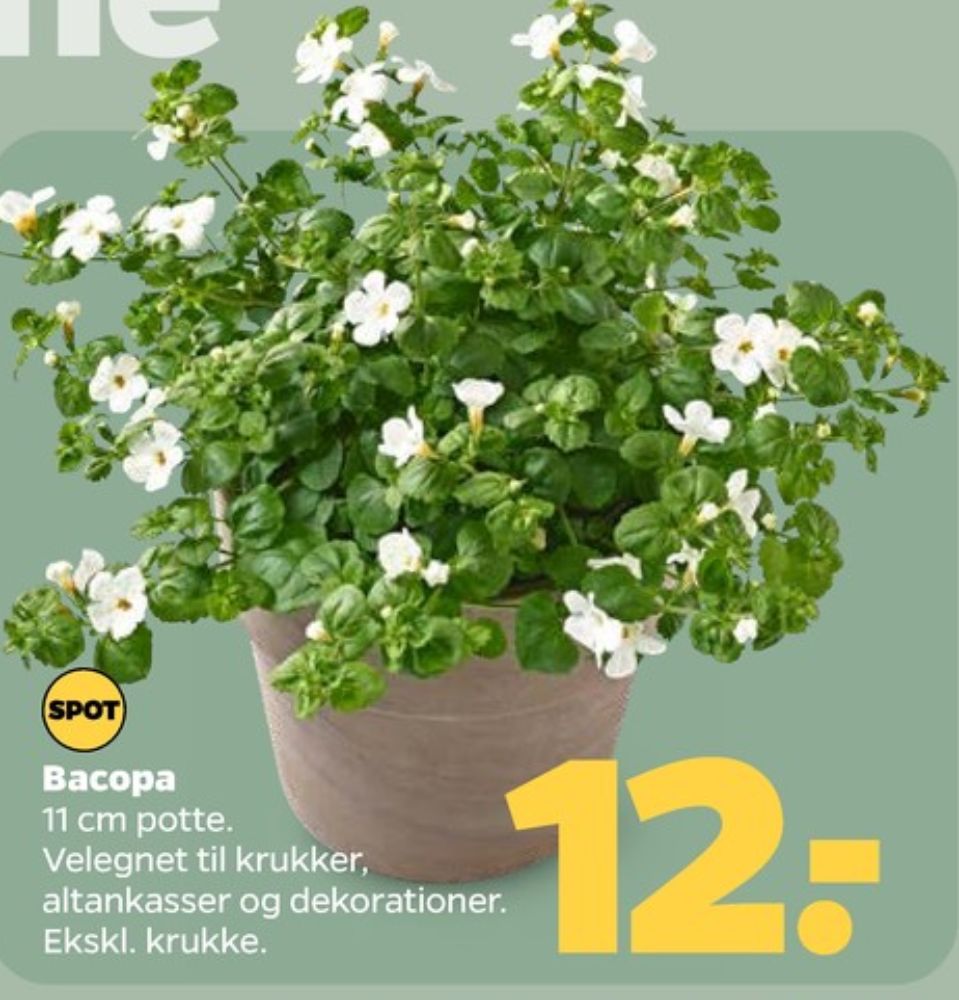 Planter
