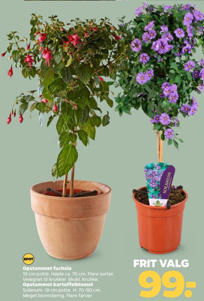 Planter