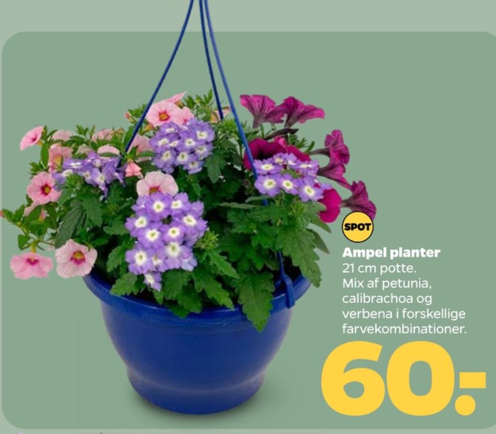 Planter