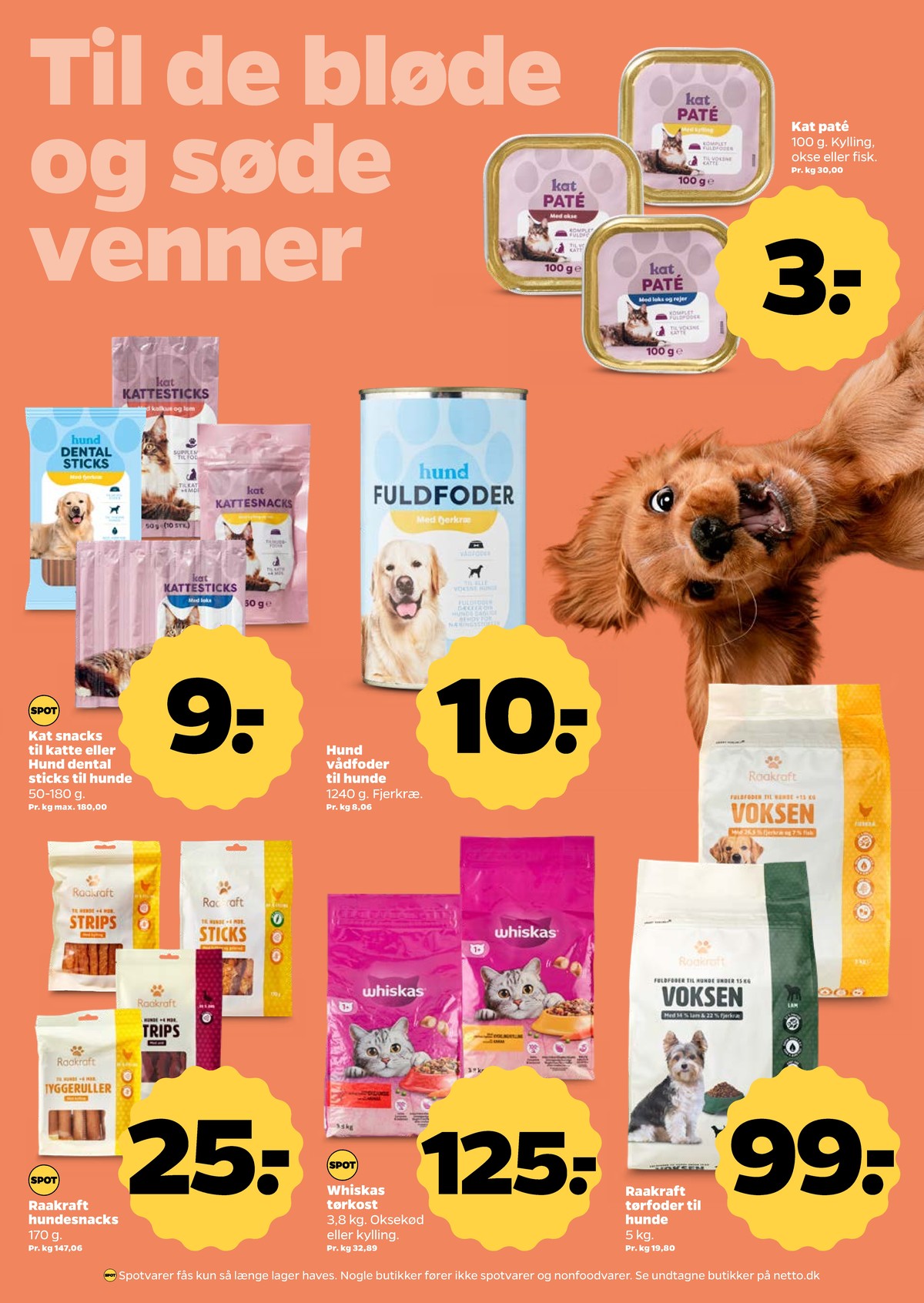 Catalogue page 31