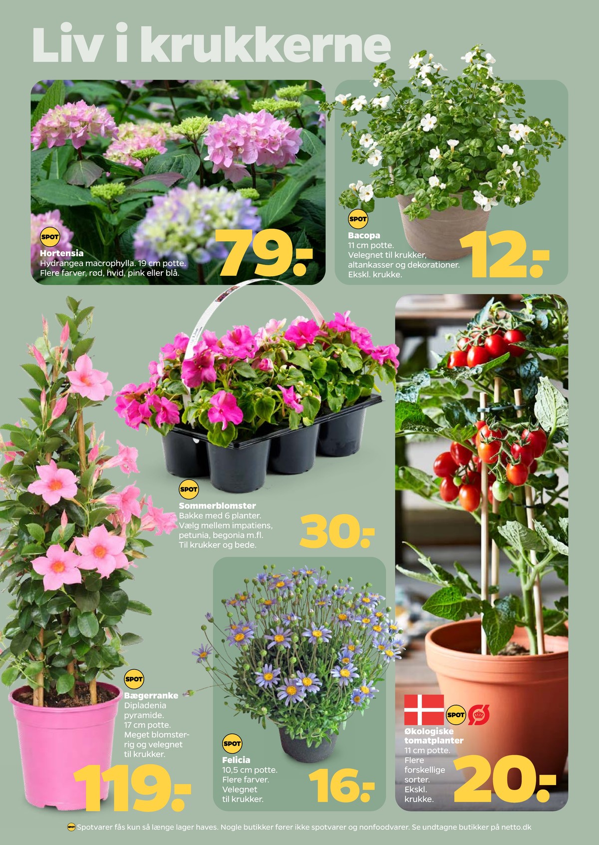 Catalogue page 32
