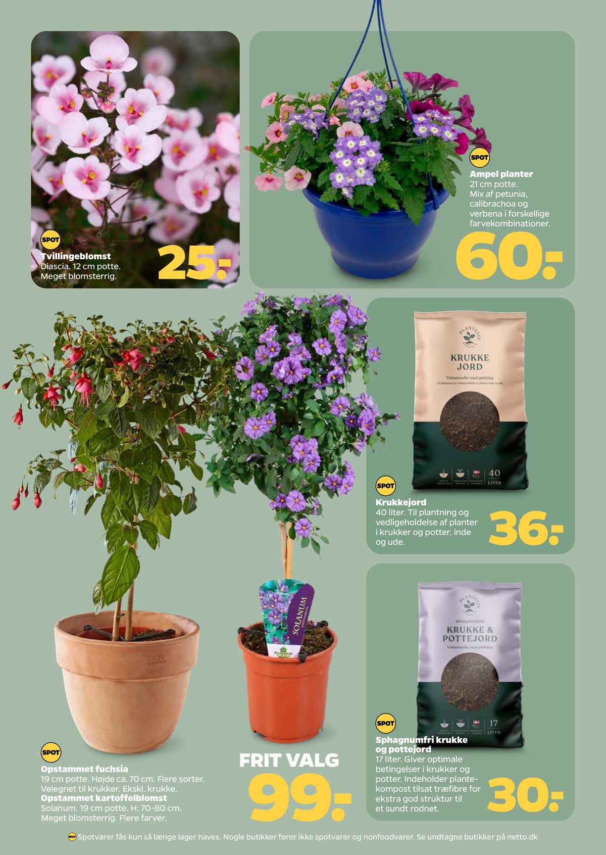 Catalogue page 33
