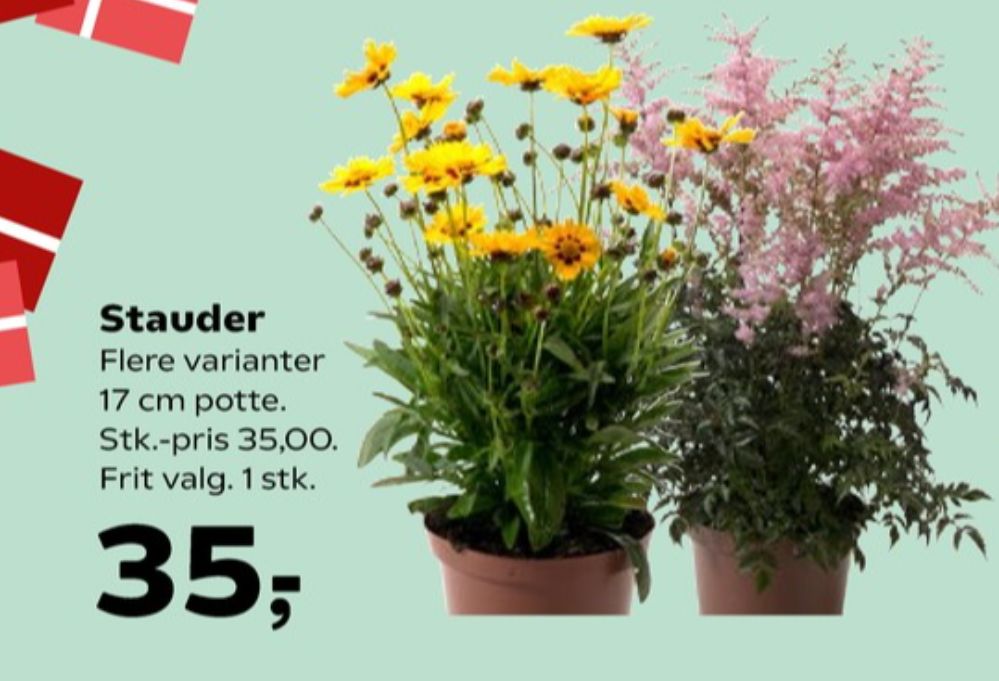 Planter