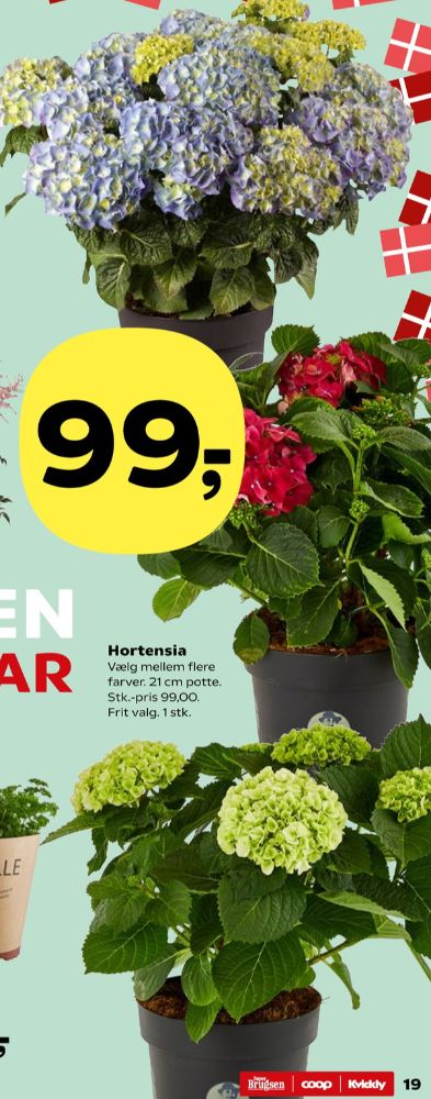 Planter