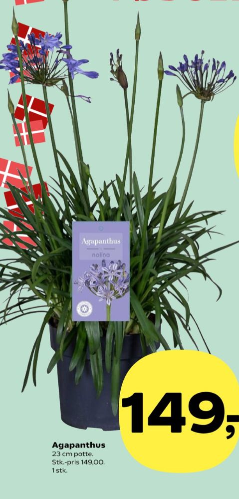 Planter