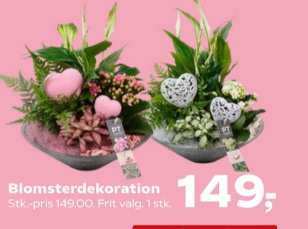 Blomsterdekorationer