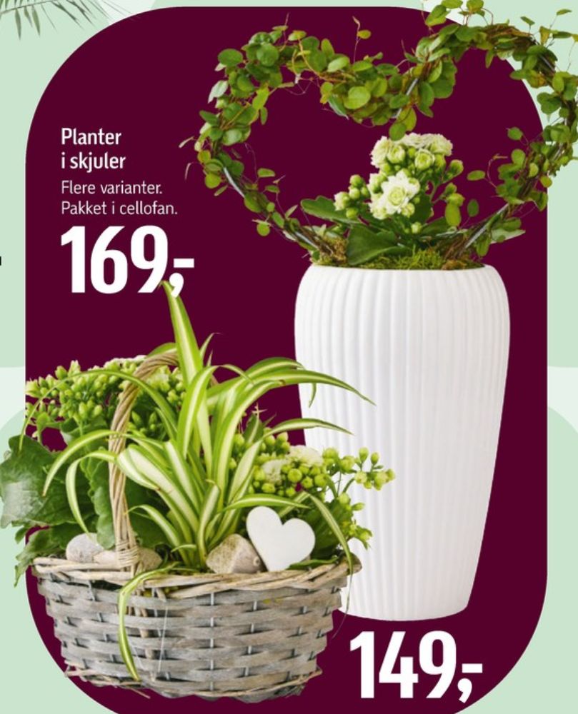 Blomsterdekorationer