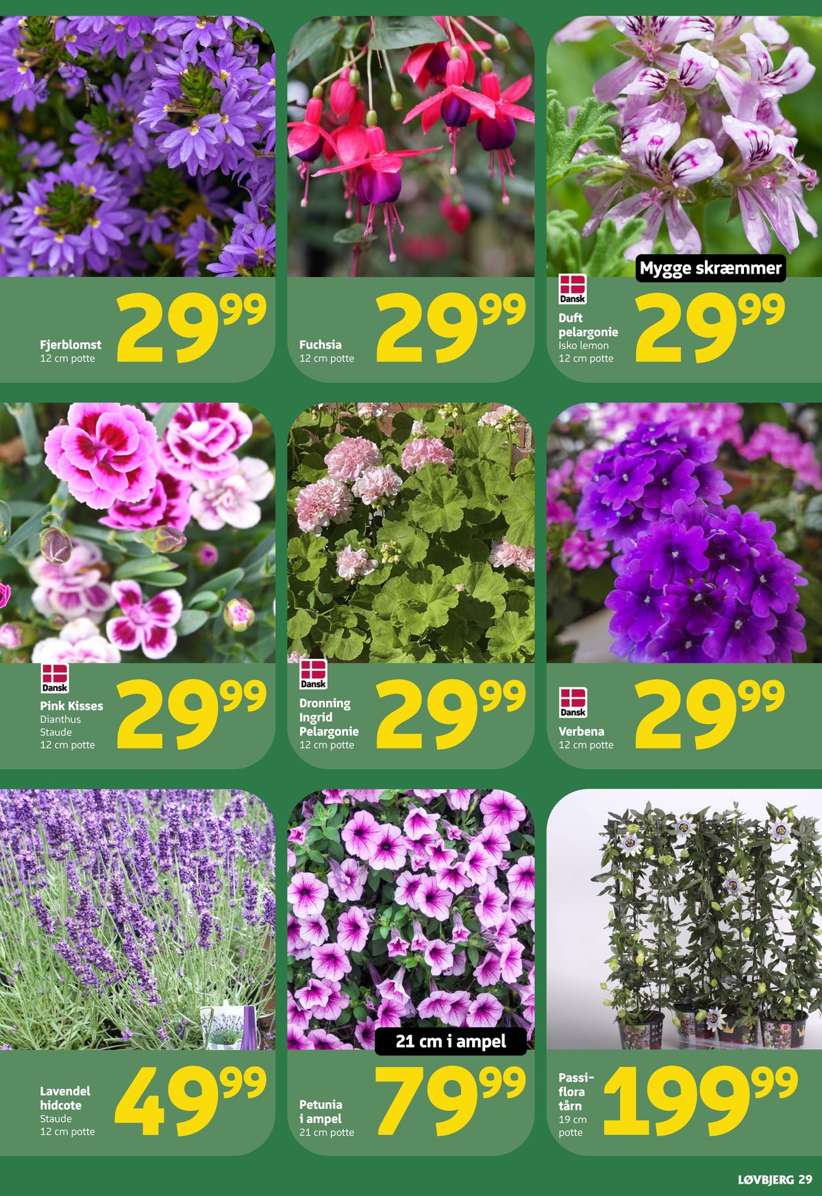 Catalogue page 29