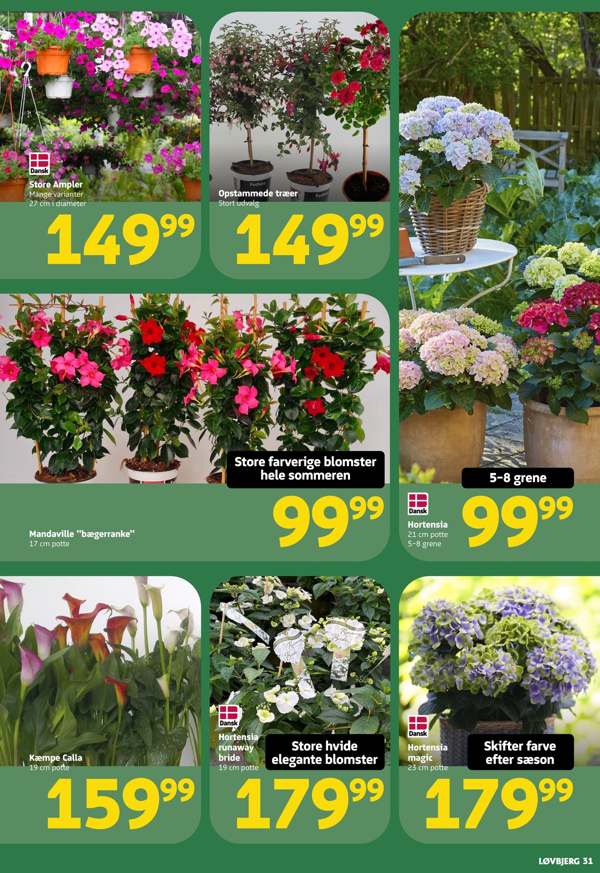 Catalogue page 31
