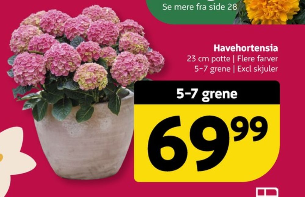 Planter