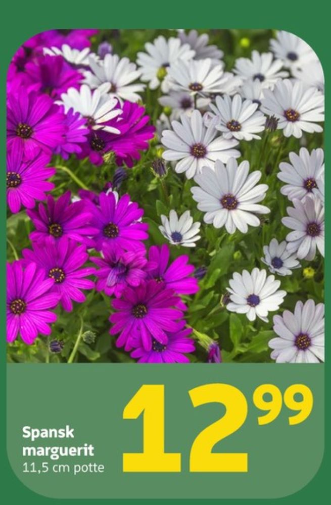 Planter