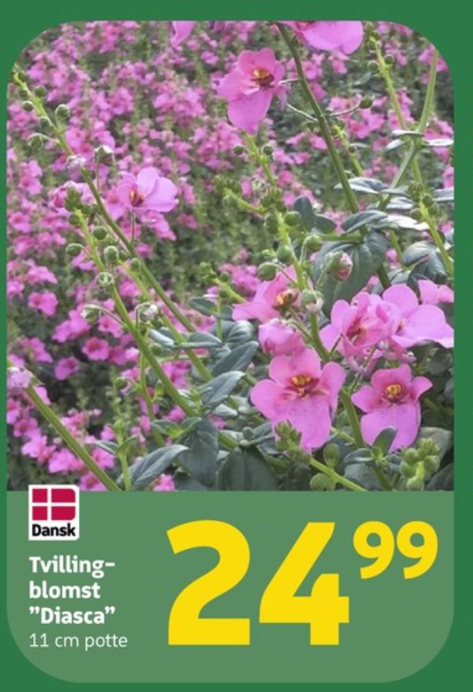 Planter