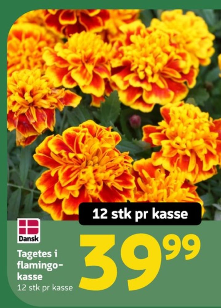 Planter