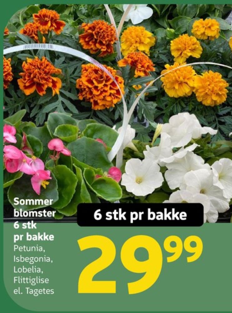 Planter