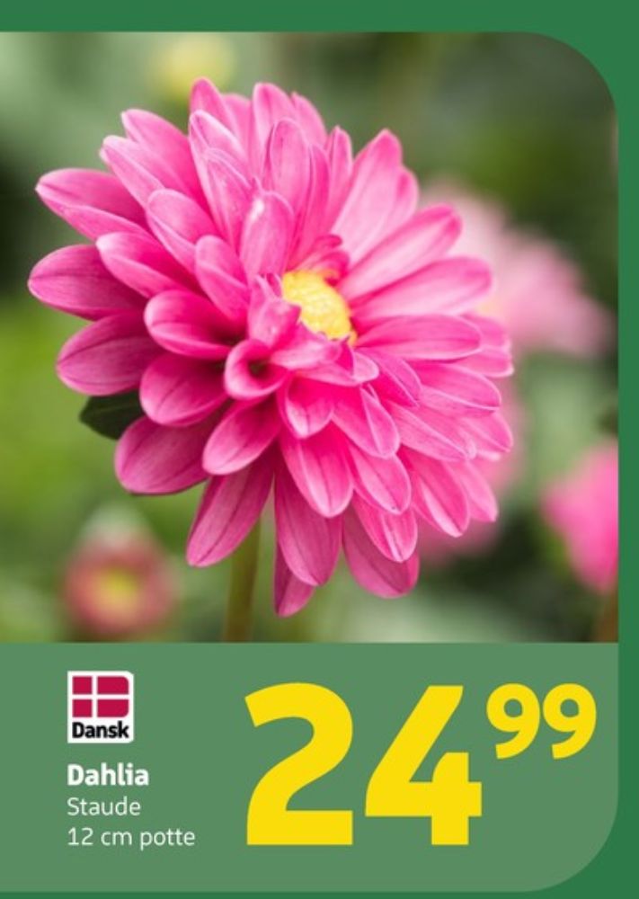Planter