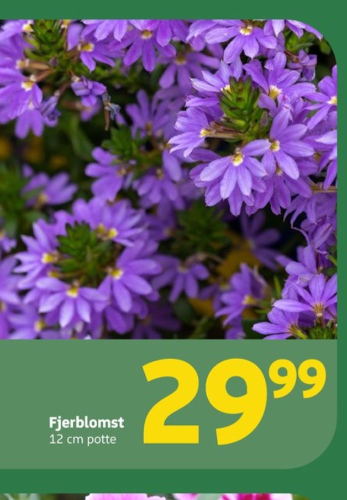 Planter
