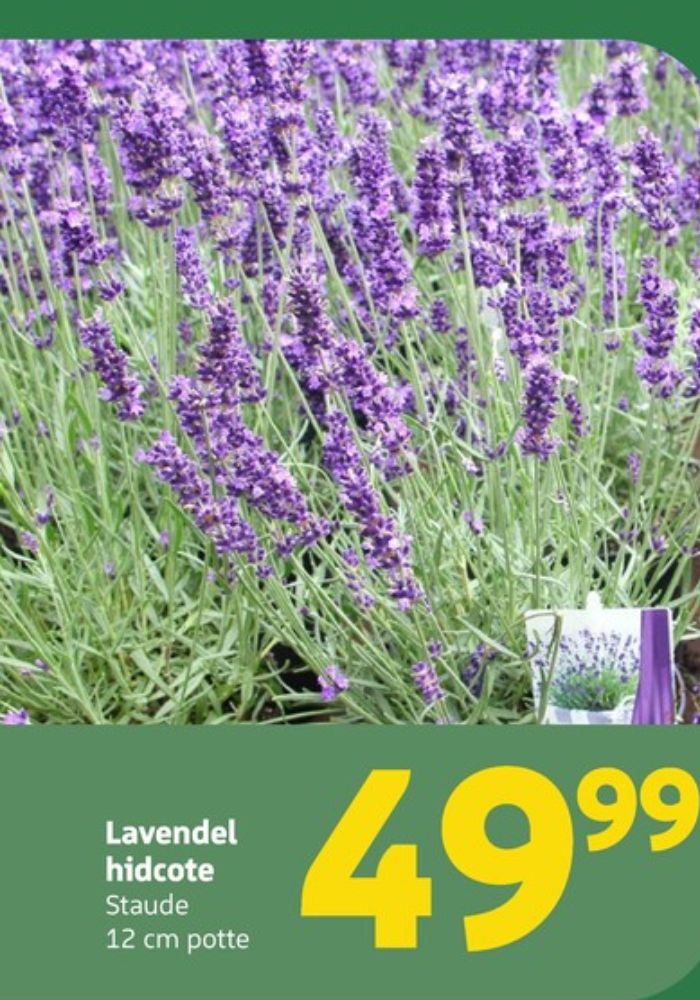 Planter