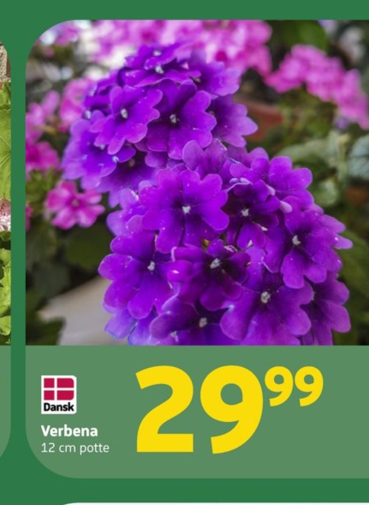 Planter
