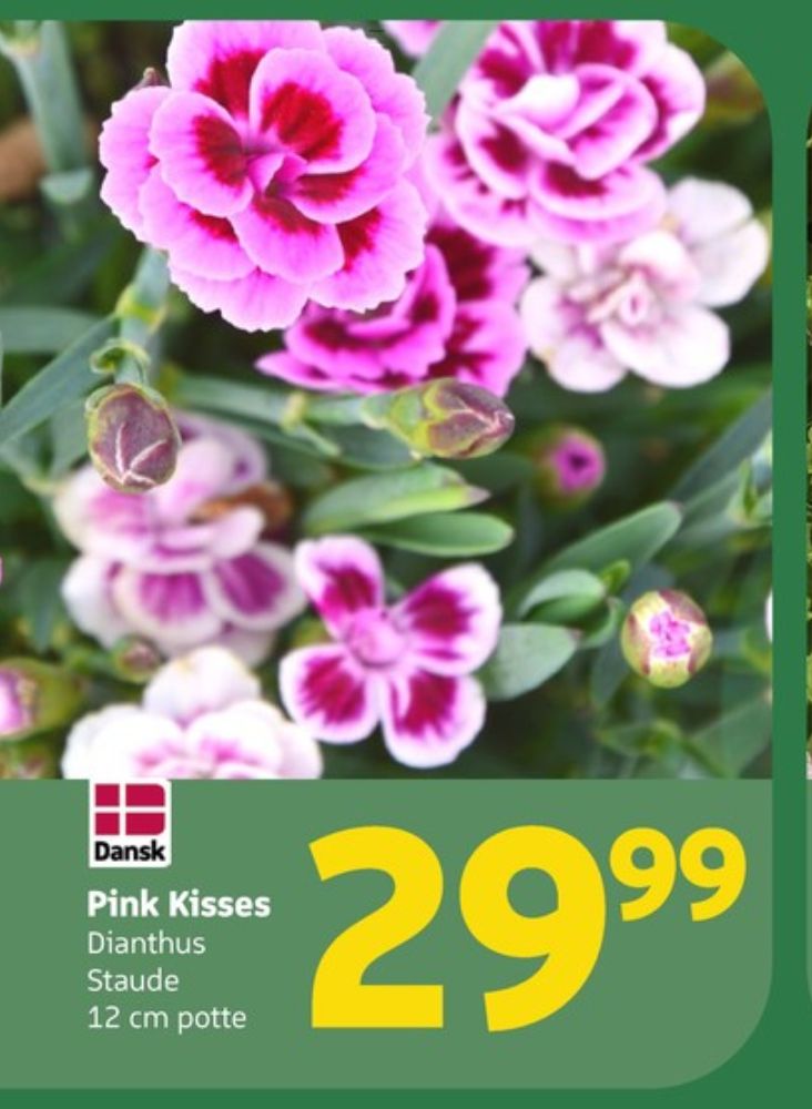 Planter