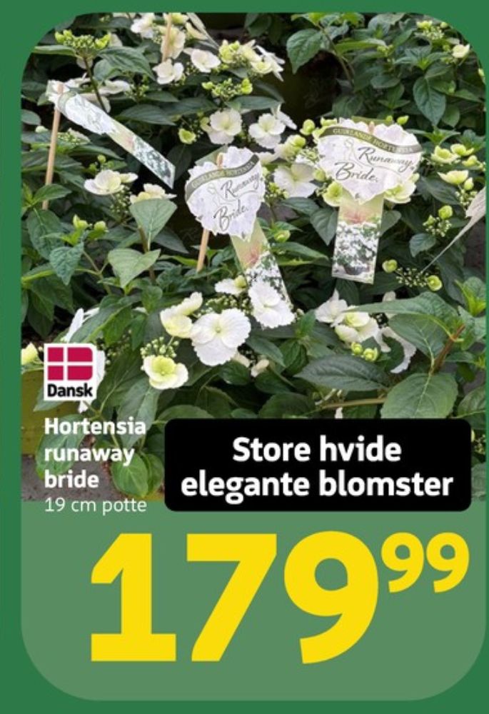 Planter