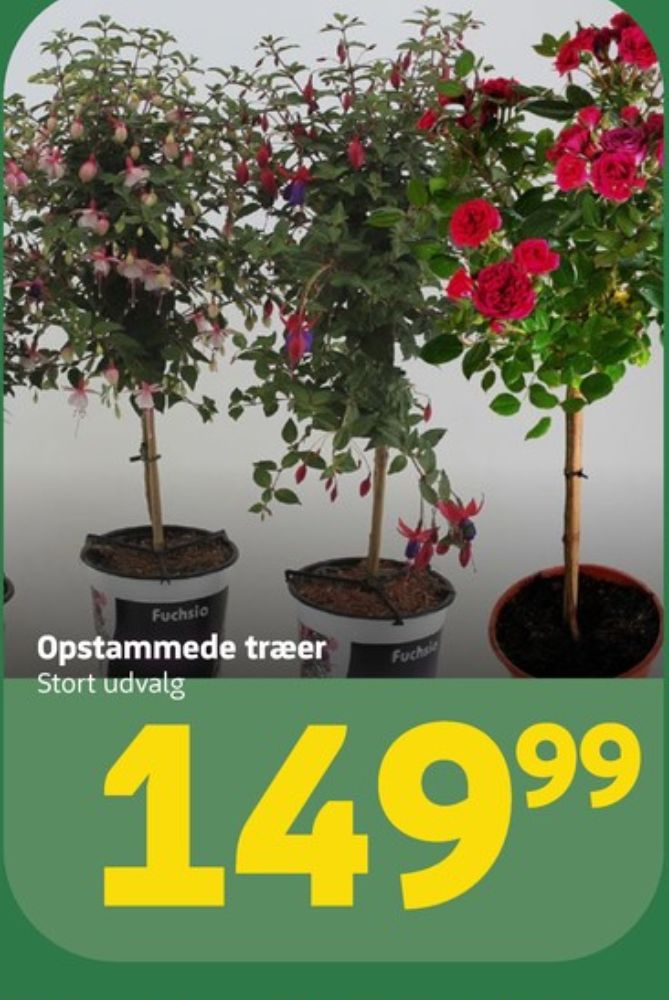 Planter