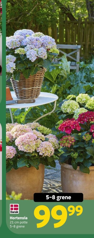 Planter