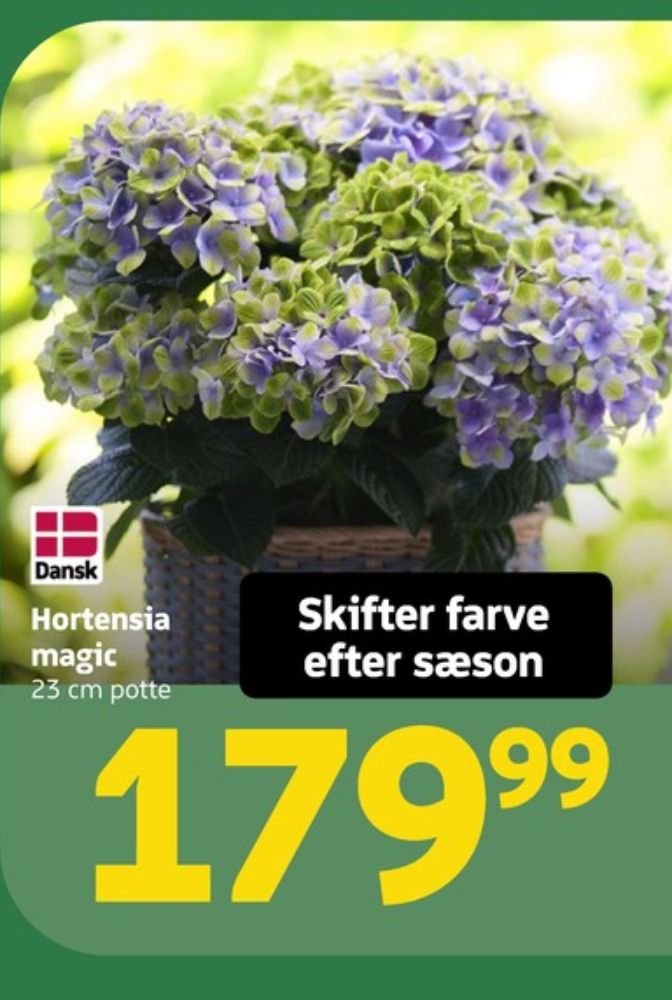 Planter