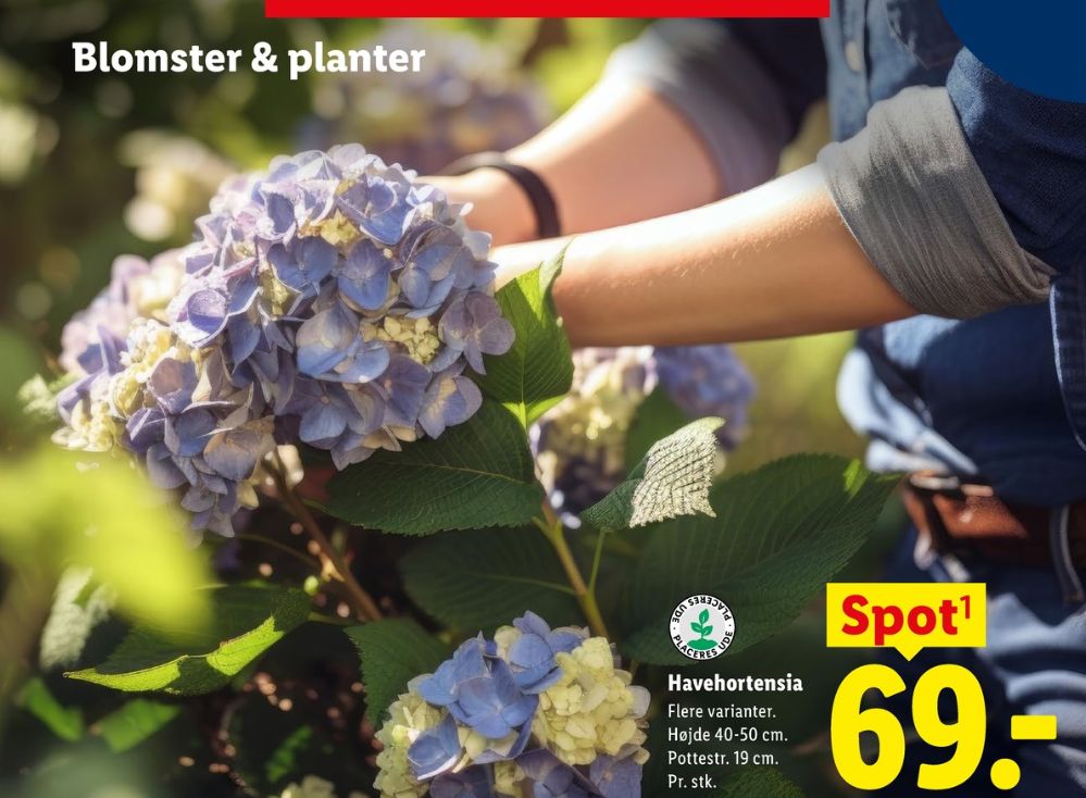 Planter