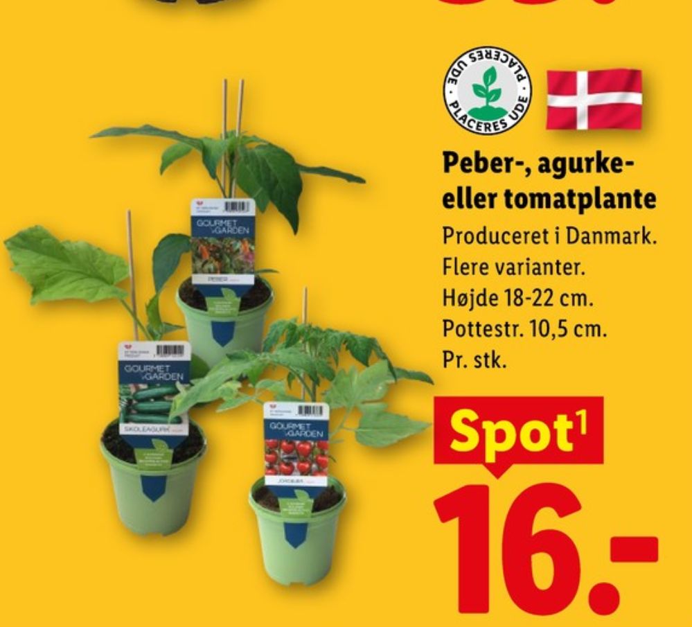 Planter