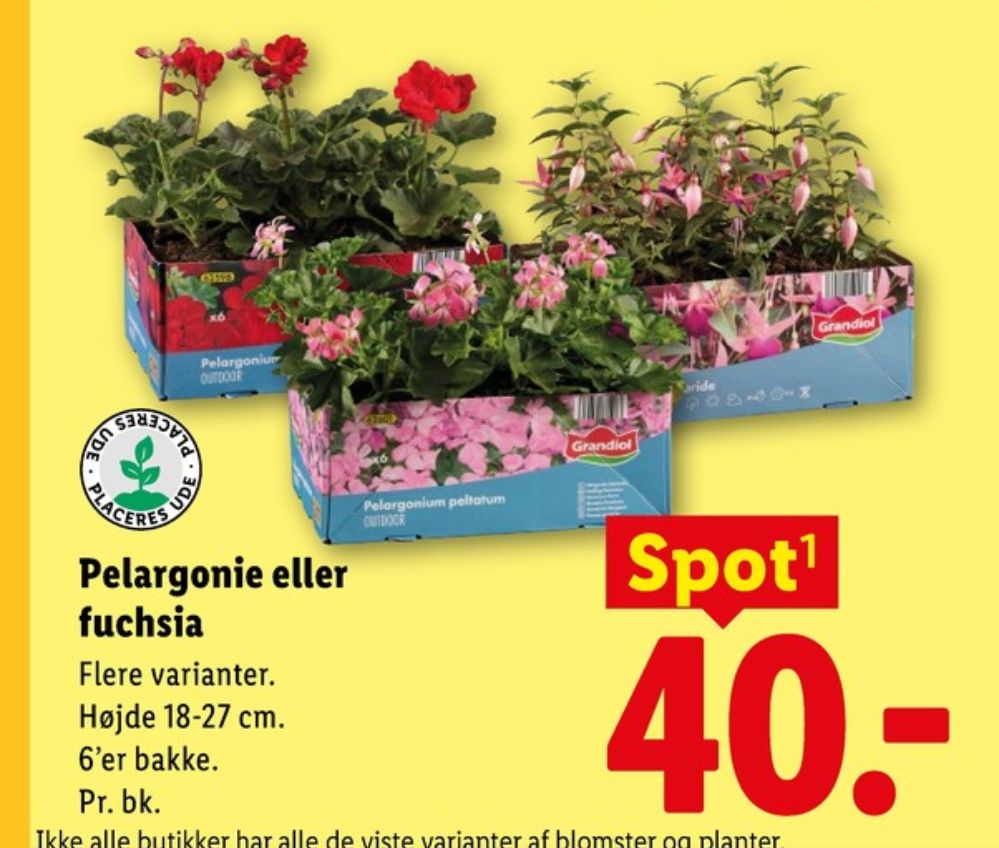 Planter
