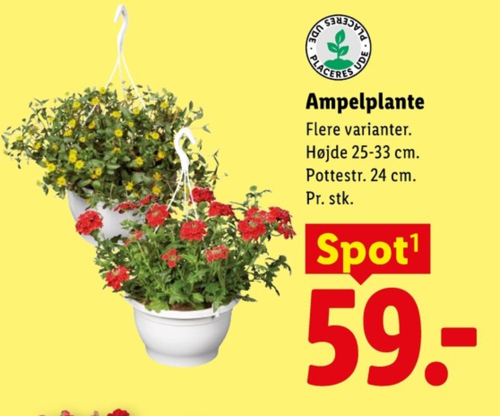 Planter