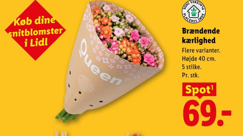 Queen, Buket