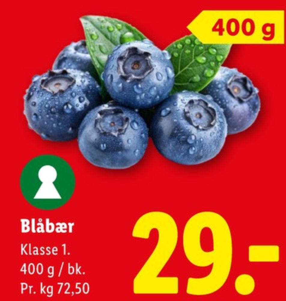 Blåbær