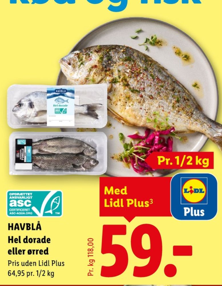 Havblå, Dorade