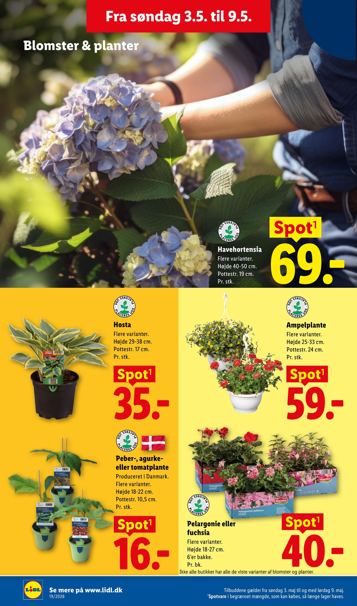 Catalogue page 27