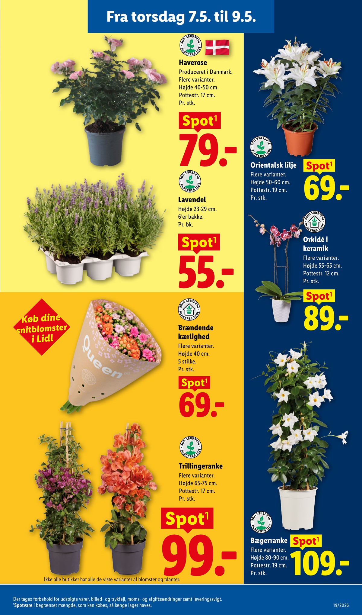 Catalogue page 28