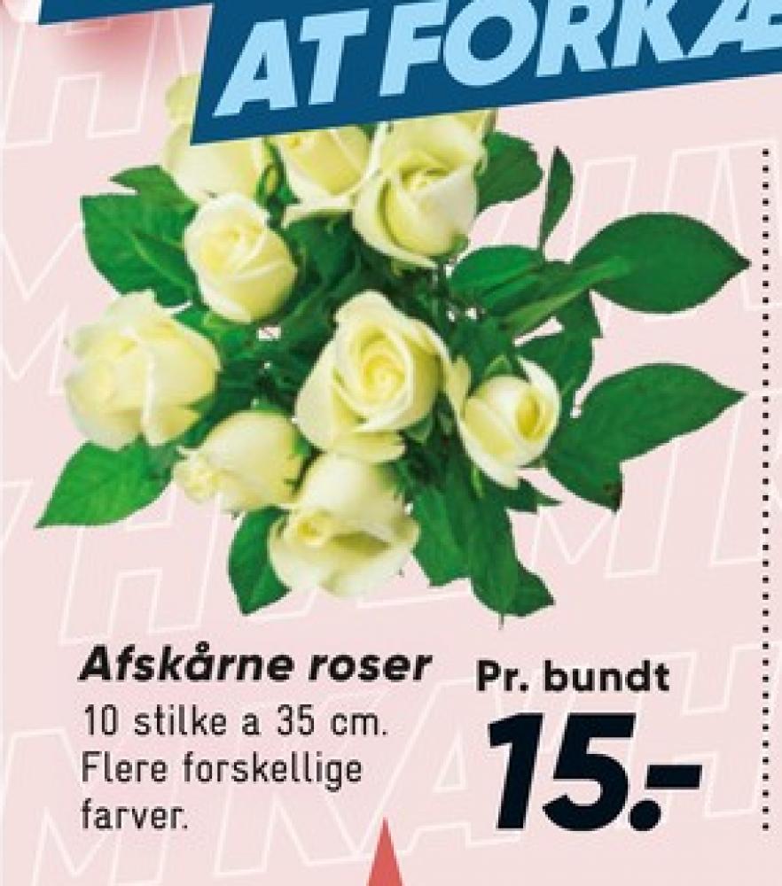 Buket