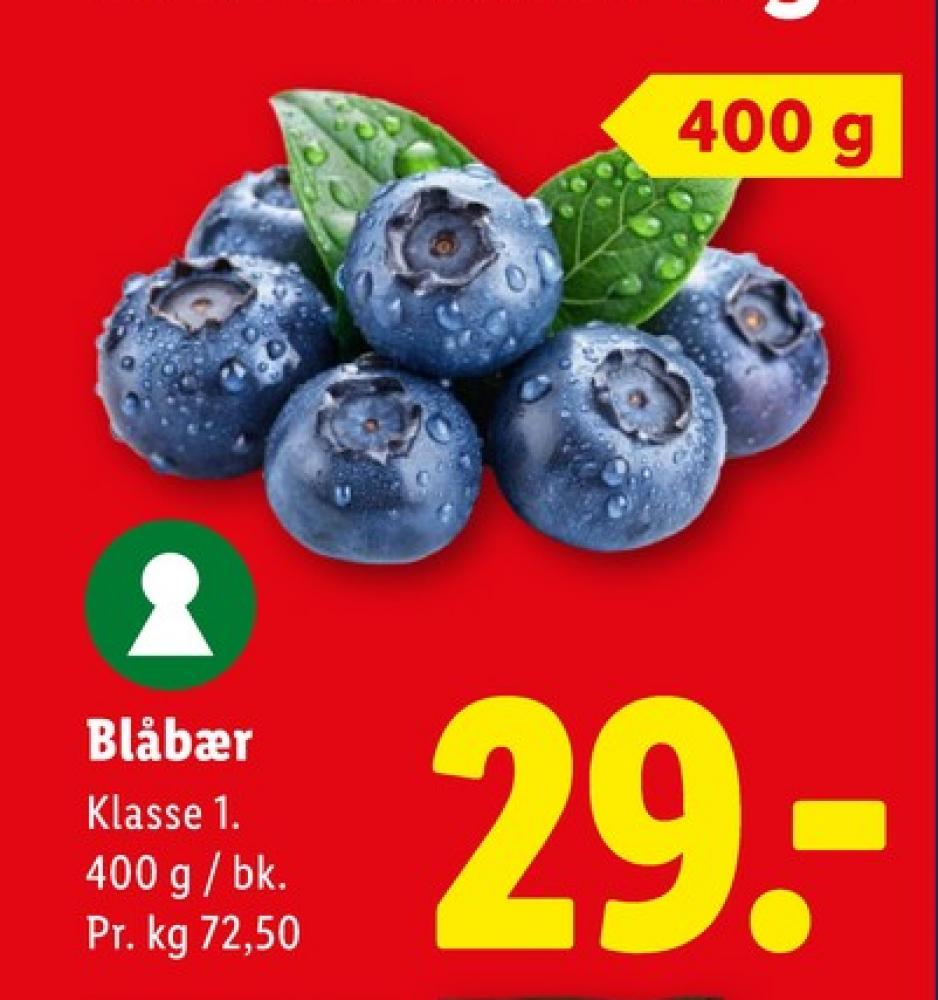 Blåbær