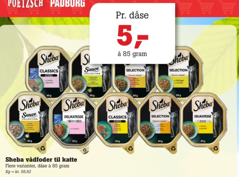 Sheba, Kattefoder