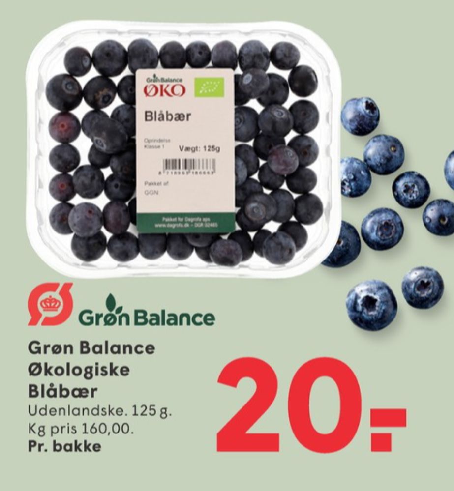 Grøn Balance, Blåbær
