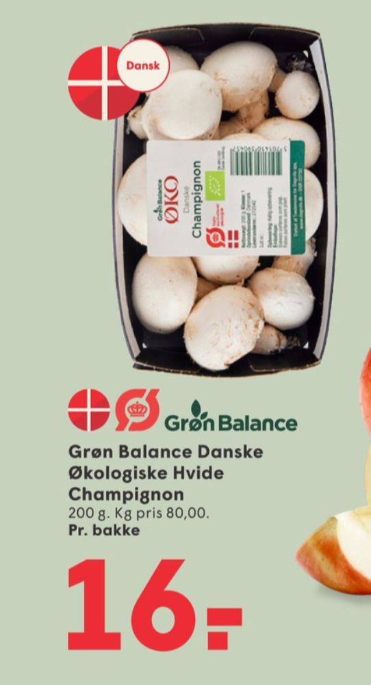 Grøn Balance, Champignon