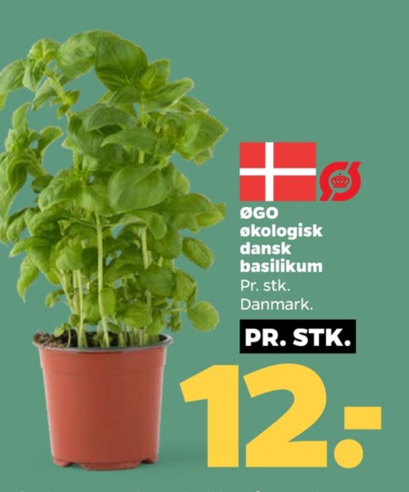 ØGO, Basilikum