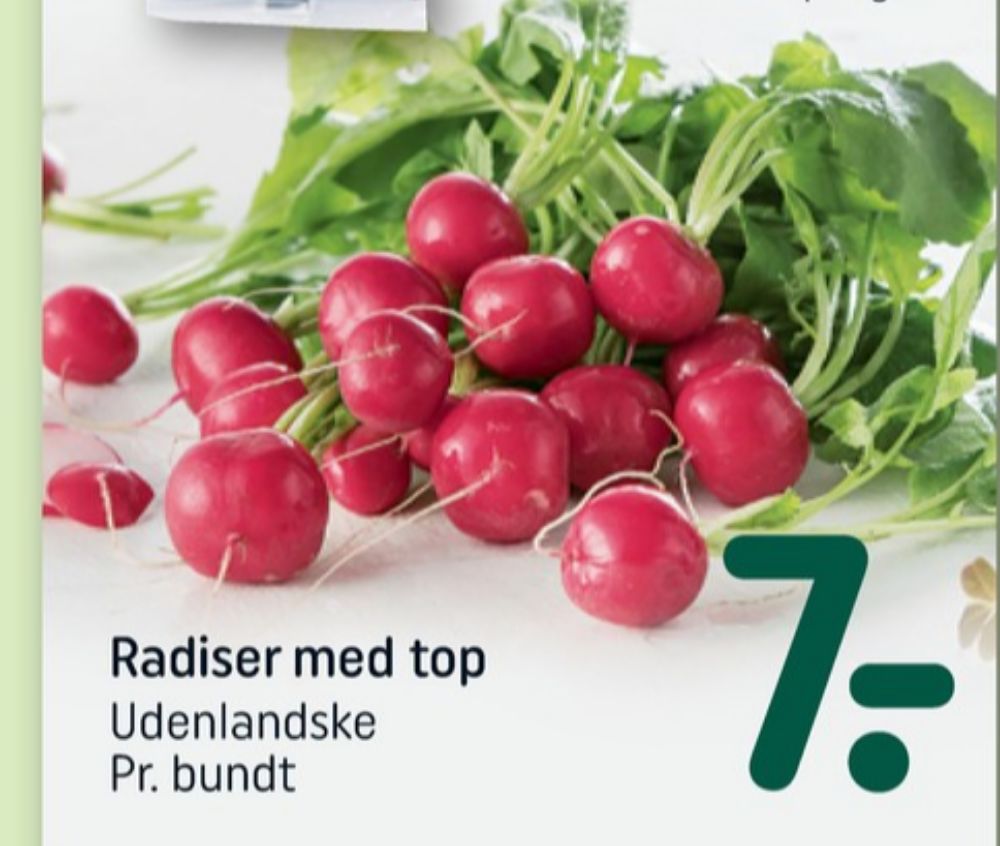 Radiser
