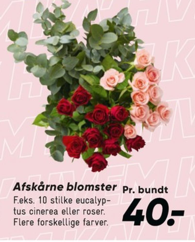 Buket
