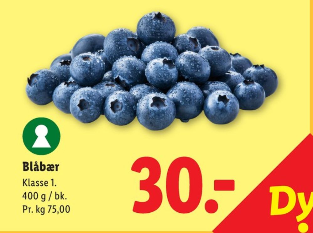 Blåbær