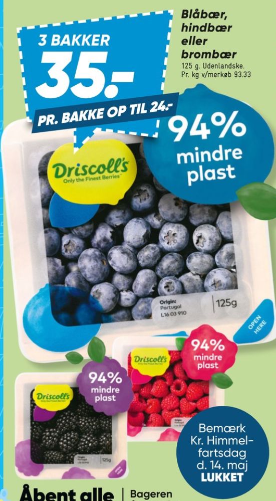 Driscolls, Blåbær