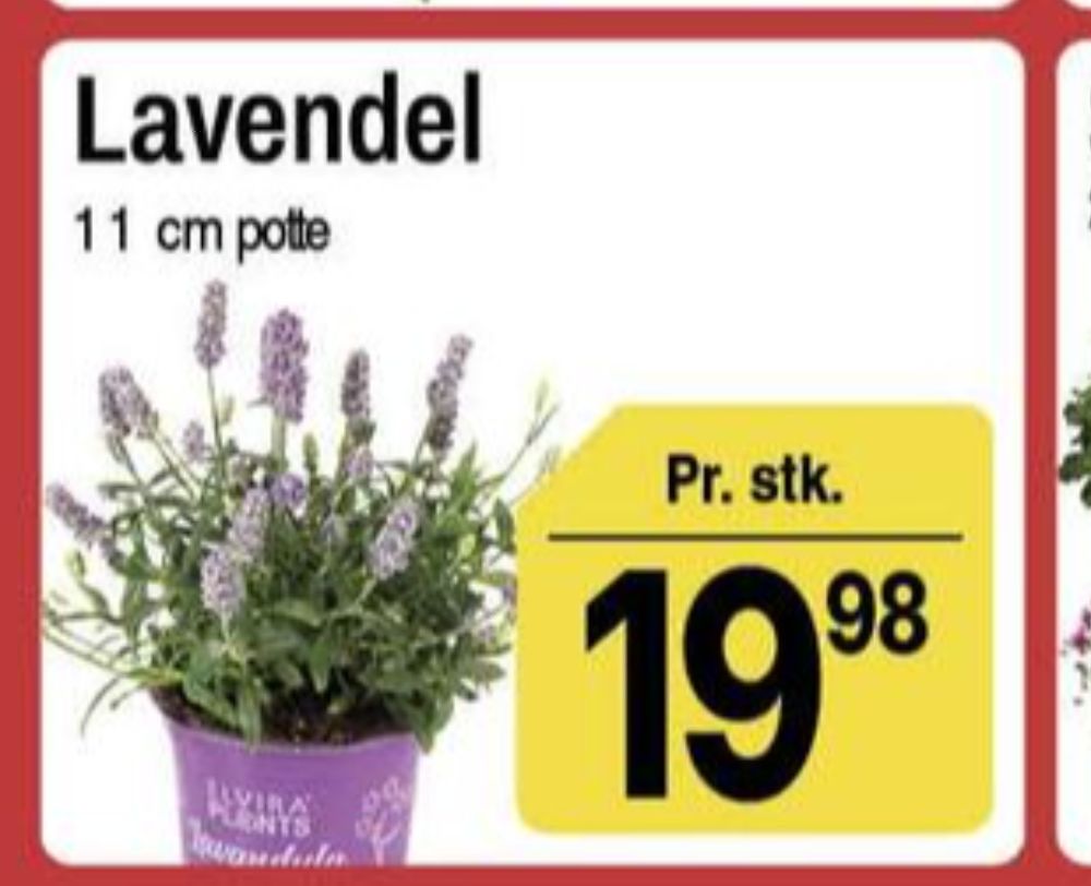 Planter